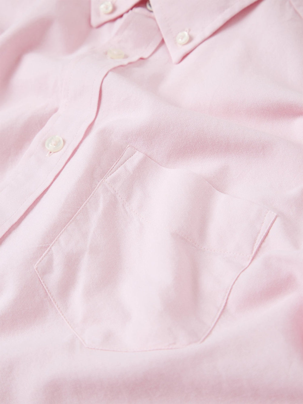 Signature Organic Oxford Shirt - Light Pink - Ben Sherman